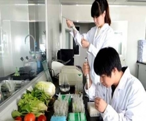 食品安全檢測(cè)整體方案 食品安全檢測(cè)整體方案